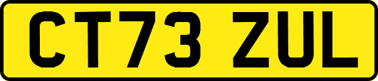 CT73ZUL