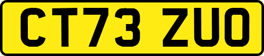 CT73ZUO