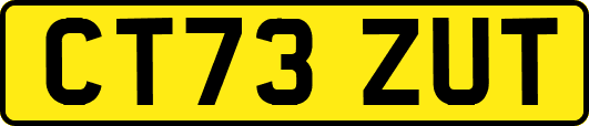 CT73ZUT