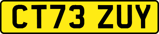 CT73ZUY