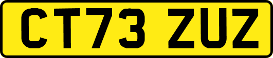 CT73ZUZ