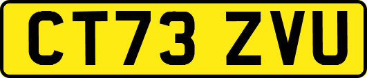 CT73ZVU
