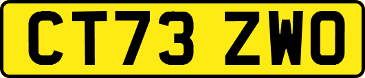 CT73ZWO