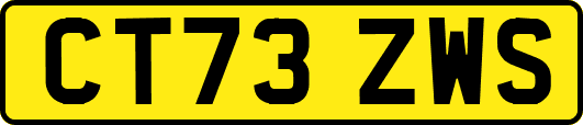 CT73ZWS
