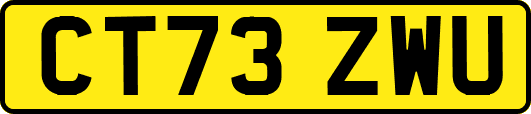 CT73ZWU