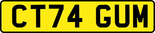 CT74GUM