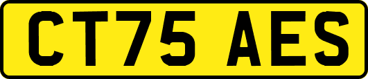 CT75AES