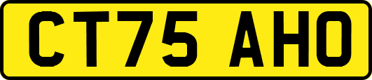 CT75AHO