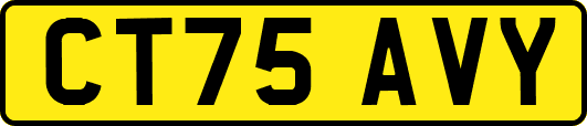 CT75AVY