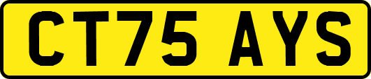 CT75AYS