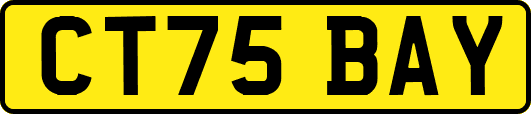 CT75BAY