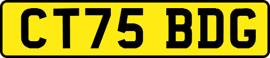 CT75BDG