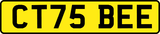 CT75BEE