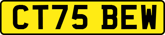 CT75BEW