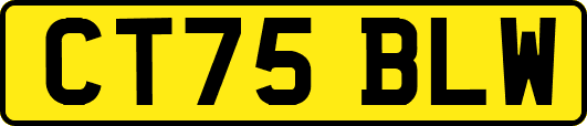 CT75BLW