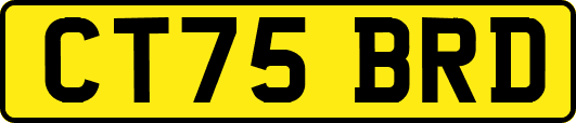 CT75BRD