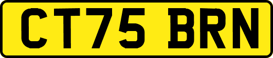 CT75BRN