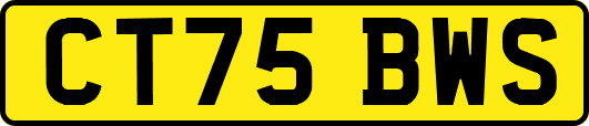 CT75BWS