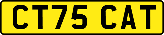 CT75CAT