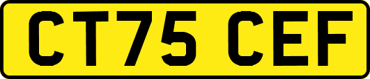 CT75CEF