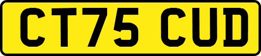 CT75CUD