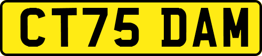 CT75DAM