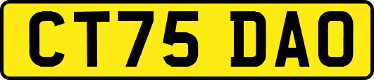 CT75DAO