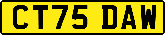 CT75DAW