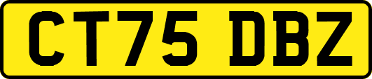 CT75DBZ