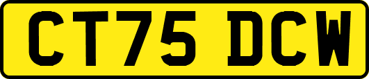 CT75DCW