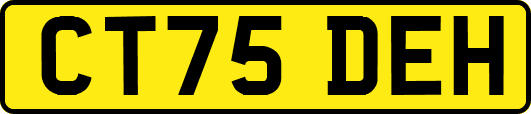 CT75DEH
