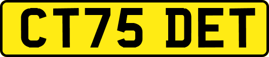 CT75DET