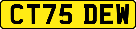 CT75DEW