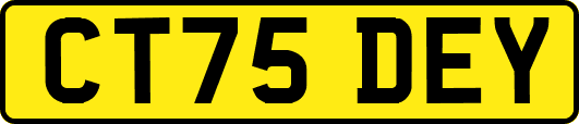 CT75DEY