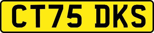 CT75DKS