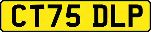 CT75DLP