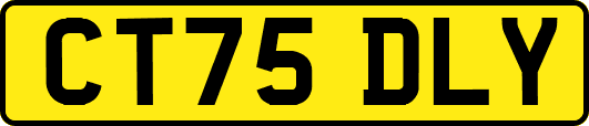 CT75DLY