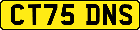 CT75DNS