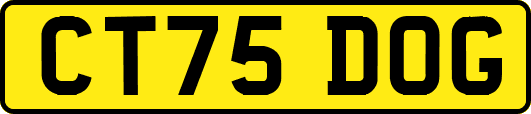 CT75DOG
