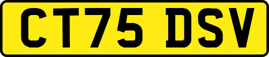 CT75DSV