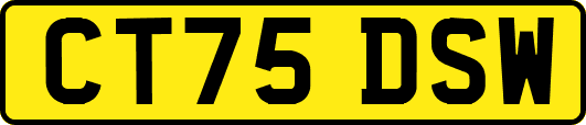 CT75DSW