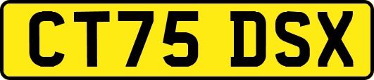 CT75DSX