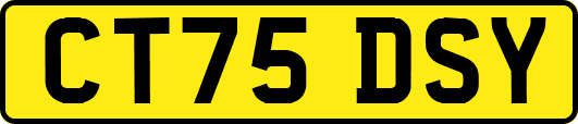 CT75DSY