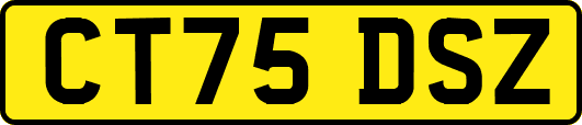 CT75DSZ