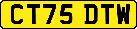 CT75DTW
