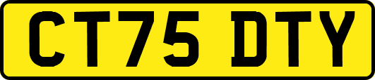 CT75DTY