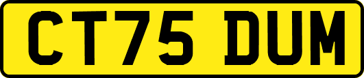 CT75DUM