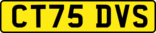 CT75DVS