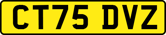 CT75DVZ