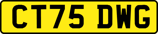 CT75DWG